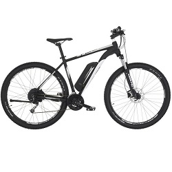 Bild zu 29 Zoll E-Bike Fischer Proline EM 724 für 1.149€ (Vergleich: 1.561,82€)