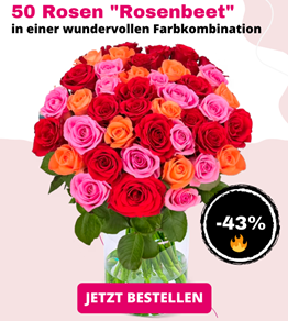 Bild zu 50 Rosen “Rosenbeet” in verschiedenen Farben für 22,99€ zzgl. mind. 6,99€ Versand