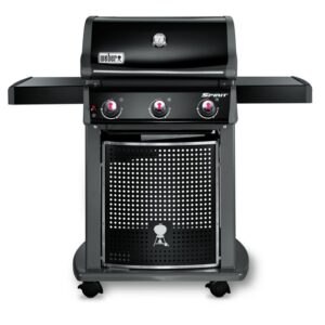 weber e310 classic