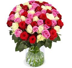 Bild zu 47 Rosen (Rot, Pink & Weiß) – 40-50cm für 28,98€