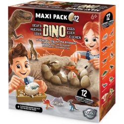 Bild zu Buki Dino Eier Maxi Pack (Set mit 12 Eiern zum Ausgraben von kleinen Dinosauriern) für 14,70€ (VG: 28,94€)