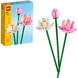 Bild zu Lego Botanical Collection Lotusblumen (40647) für 8,99€ (Vergleich: 13,49€)