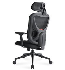 Bild zu Eucladoceros ergonomischer Bürostuhl für 89,99€