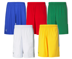 Bild zu PUMA Basketball Game Herren Shorts mit Mesh-Einsätzen für je 7,99€ zzgl. eventuell Versand