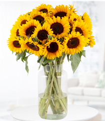 Bild zu Blumenshop: Blumenstrauß mit 20 Sonnenblumen für 28,90€ (statt 50,90€)