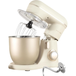 Salter Standmixer