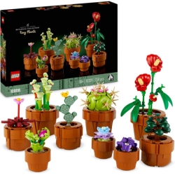 Bild zu LEGO Icons Set – Botanical Collection Mini Pflanzen 10329 für 29,99€ (Vergleich: 36,99€)