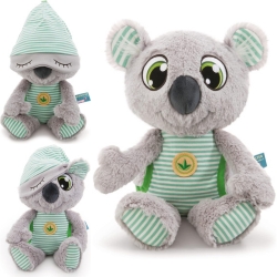 nici koala kappi